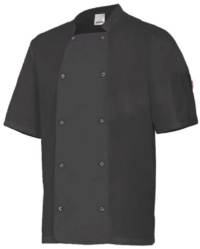 Chaqueta cocinero Velilla 405205 económica Chaqueta cocinero Velilla 405205 económica