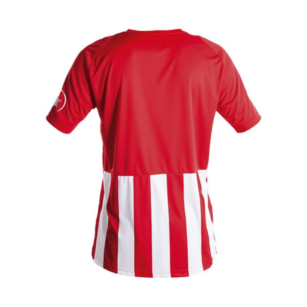 Camiseta Deportiva New Listada 07248 Luanvi