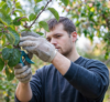 Ropa de trabajo y protecciones de agricultor