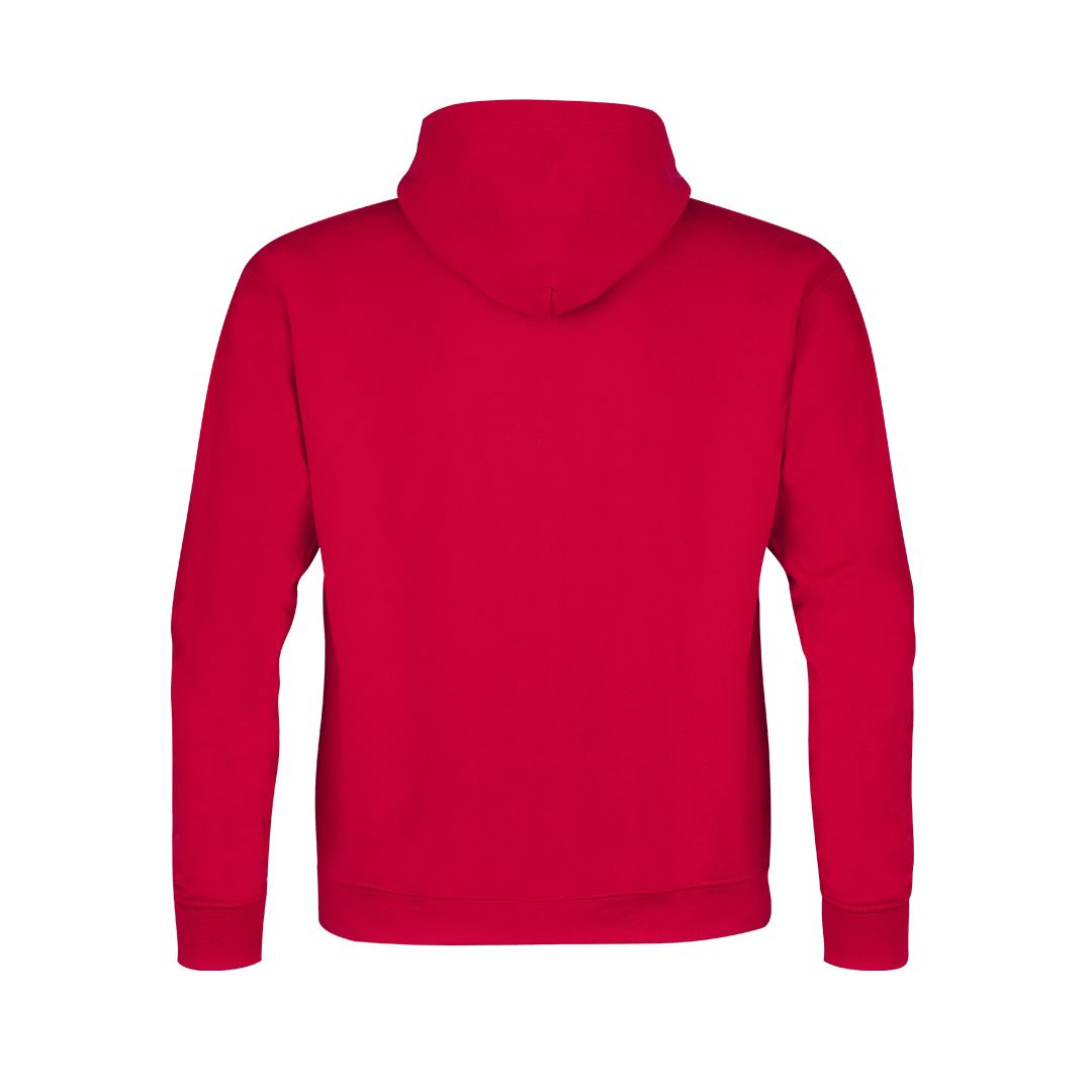 Sudadera Niño Capucha Fruit of The Loom Lightweight Hooded Sweat 1300 Distinción espalda