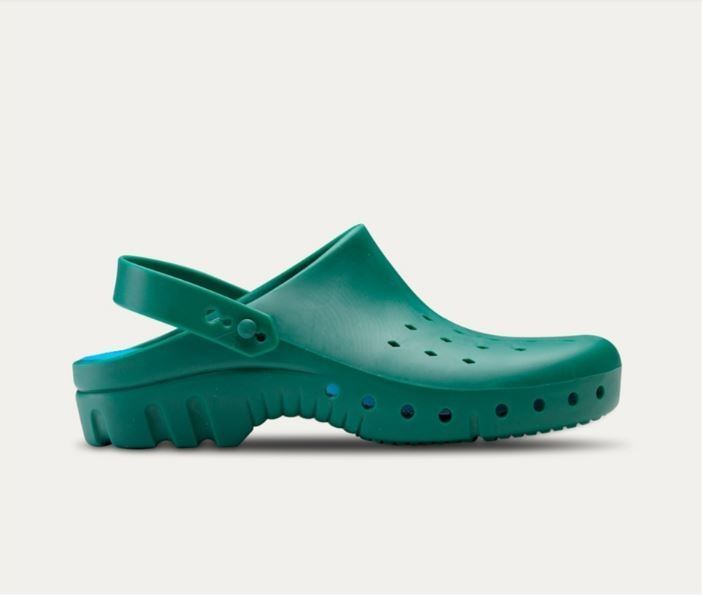 Zueco Perforado Sanitario Técnico Feliz Caminar Distinción verde